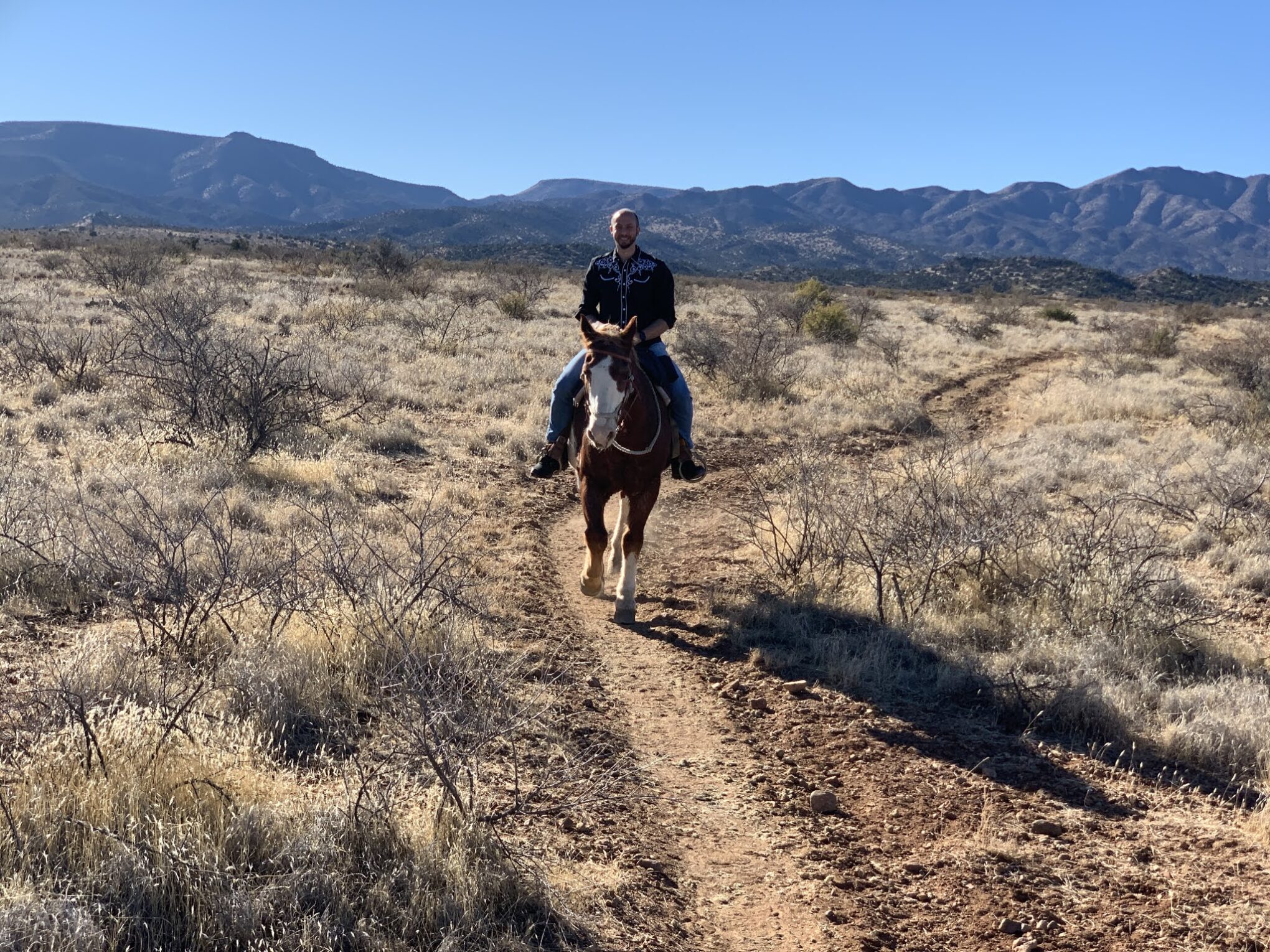 Wild Western Horseback Riding Sedona