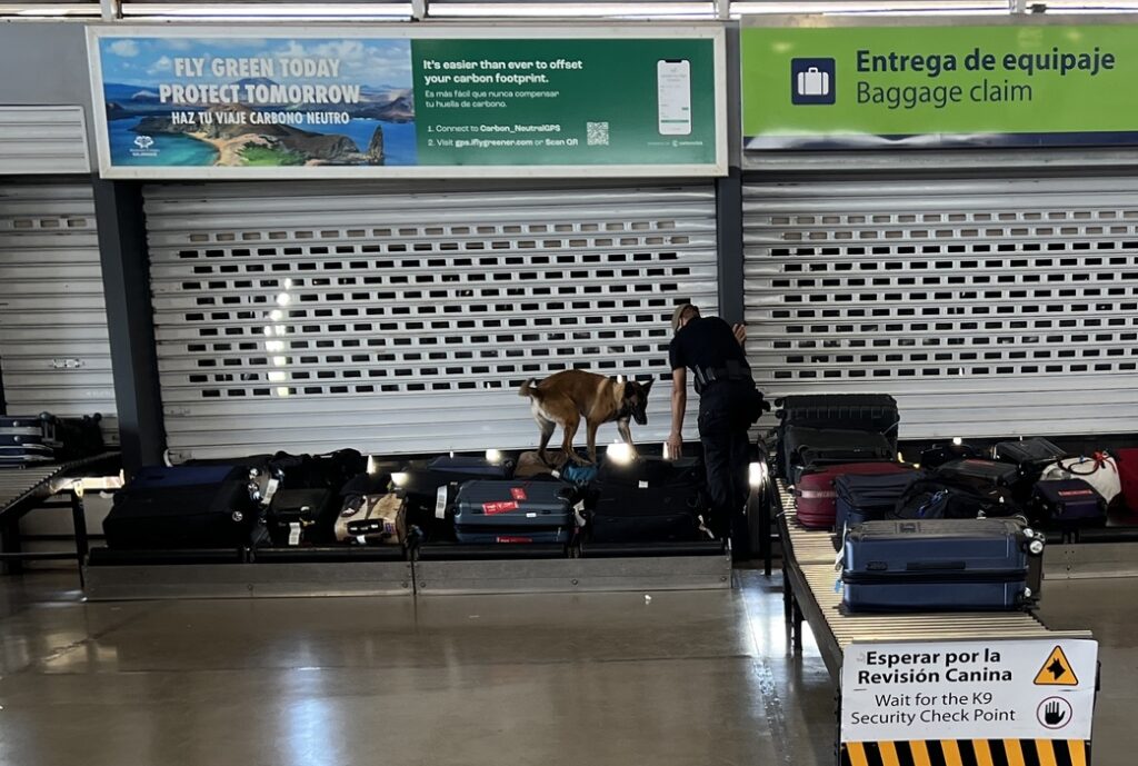 K-9 Baggage Check at Baltra Airport