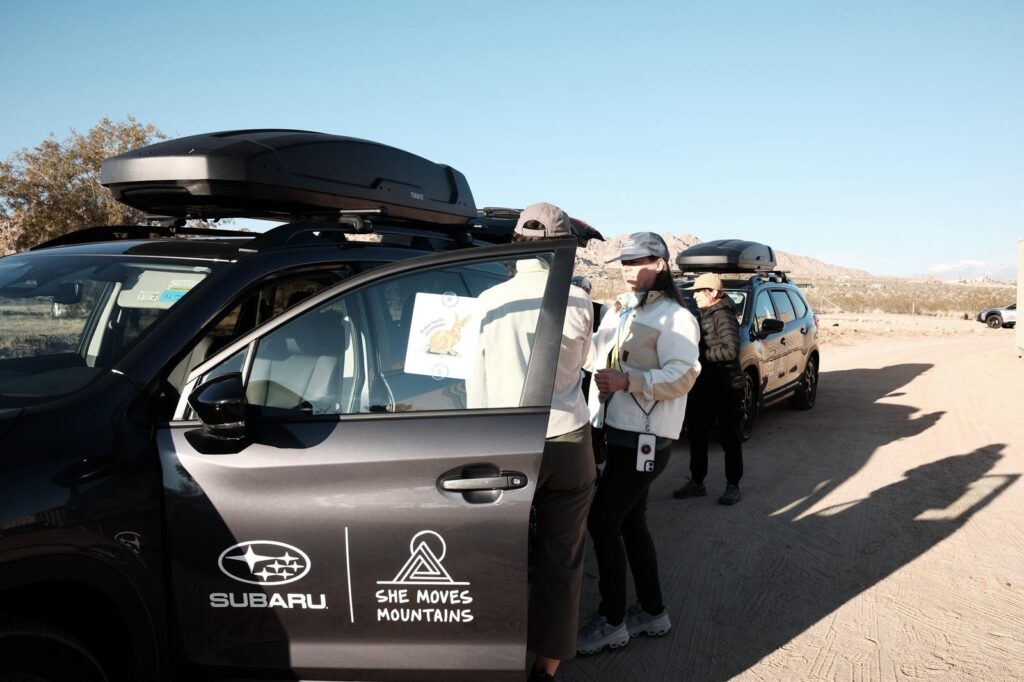 Suburu at Joshua Tree