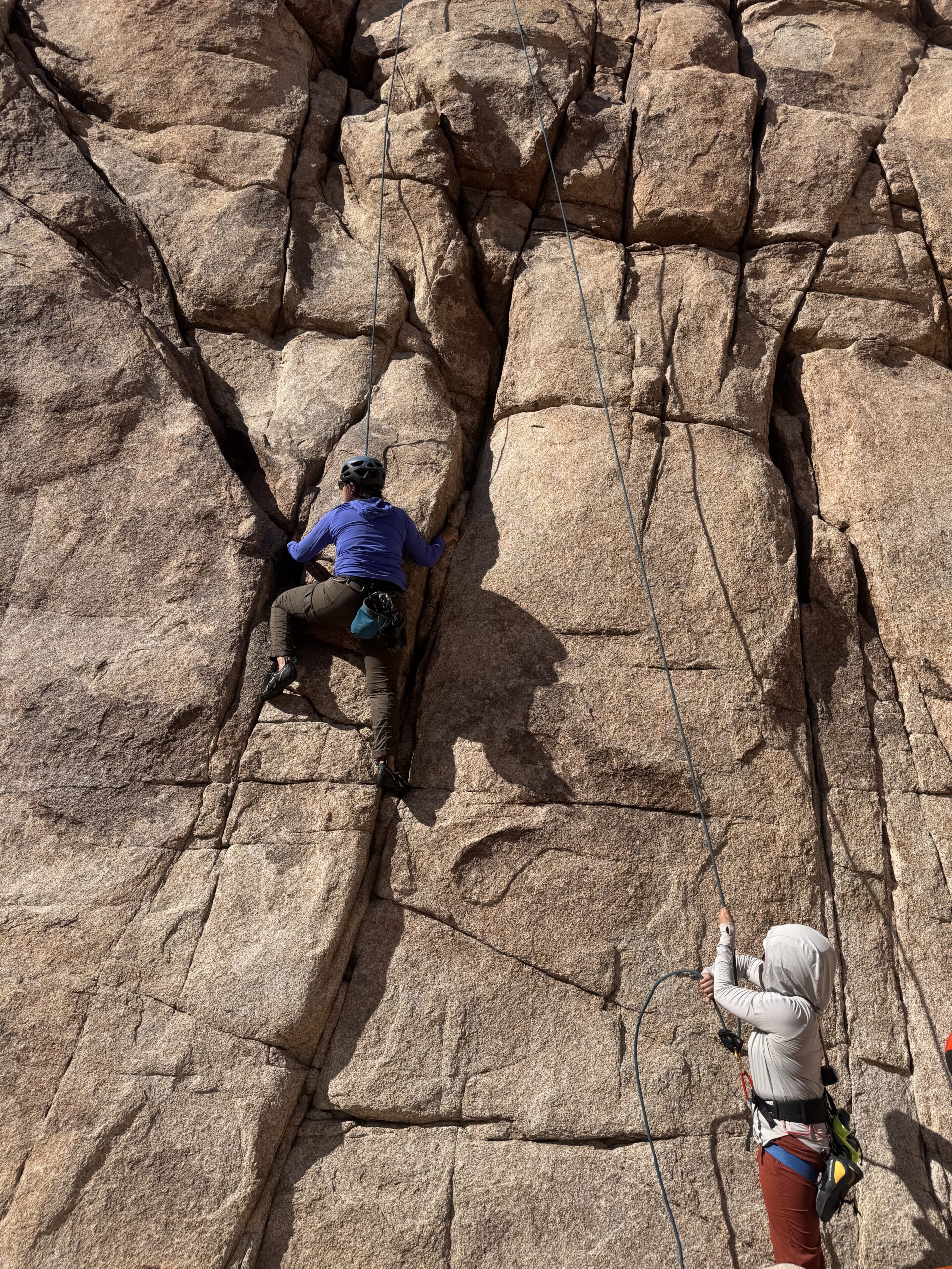 Rock Climbing JTree