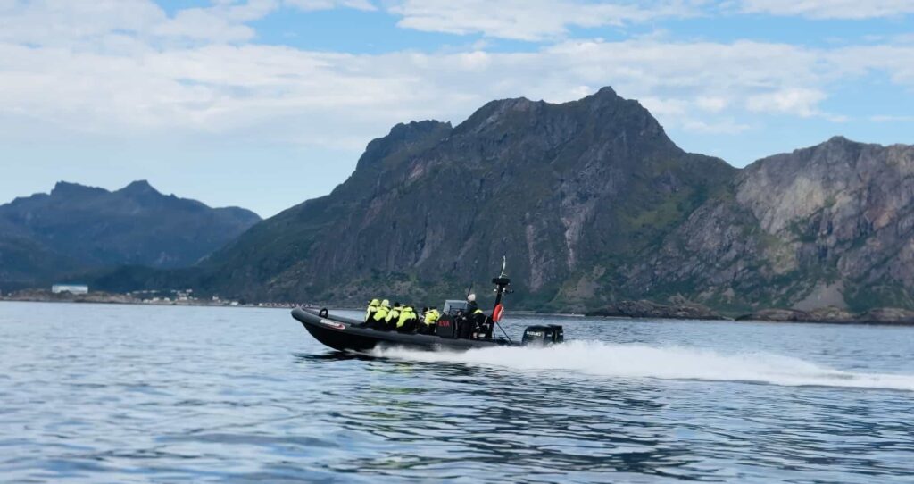 RIB Safari in Svolvaer