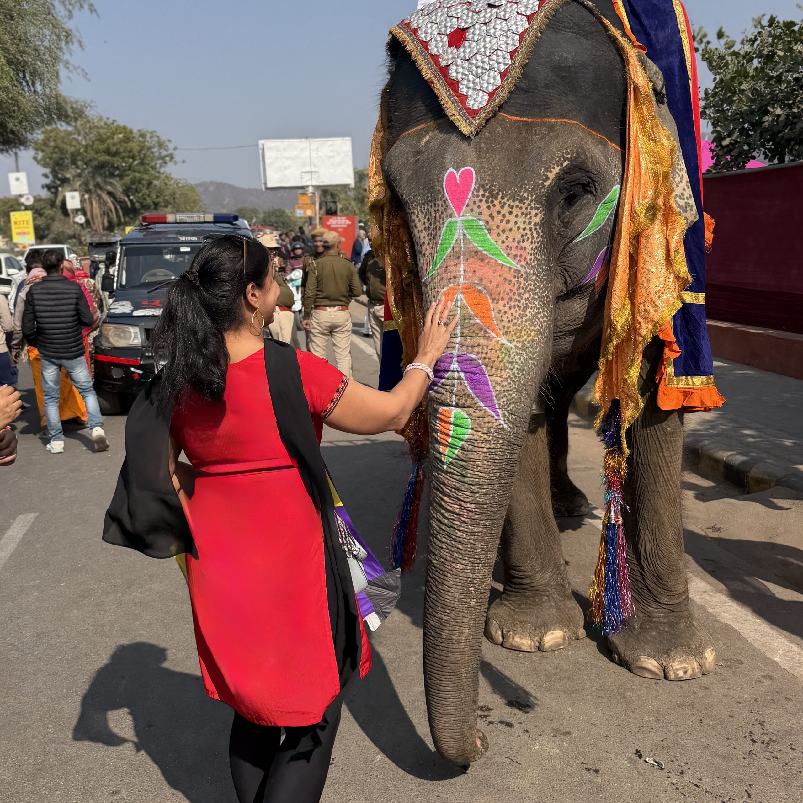 Elephant at Sankranti Festival, Jaipur