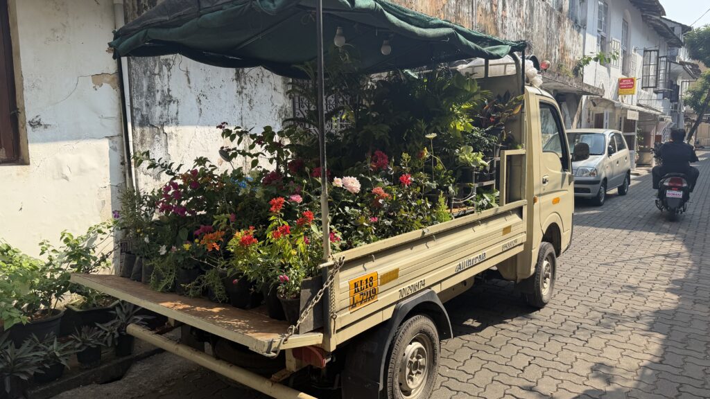 Flowers in Cochin, Kerala