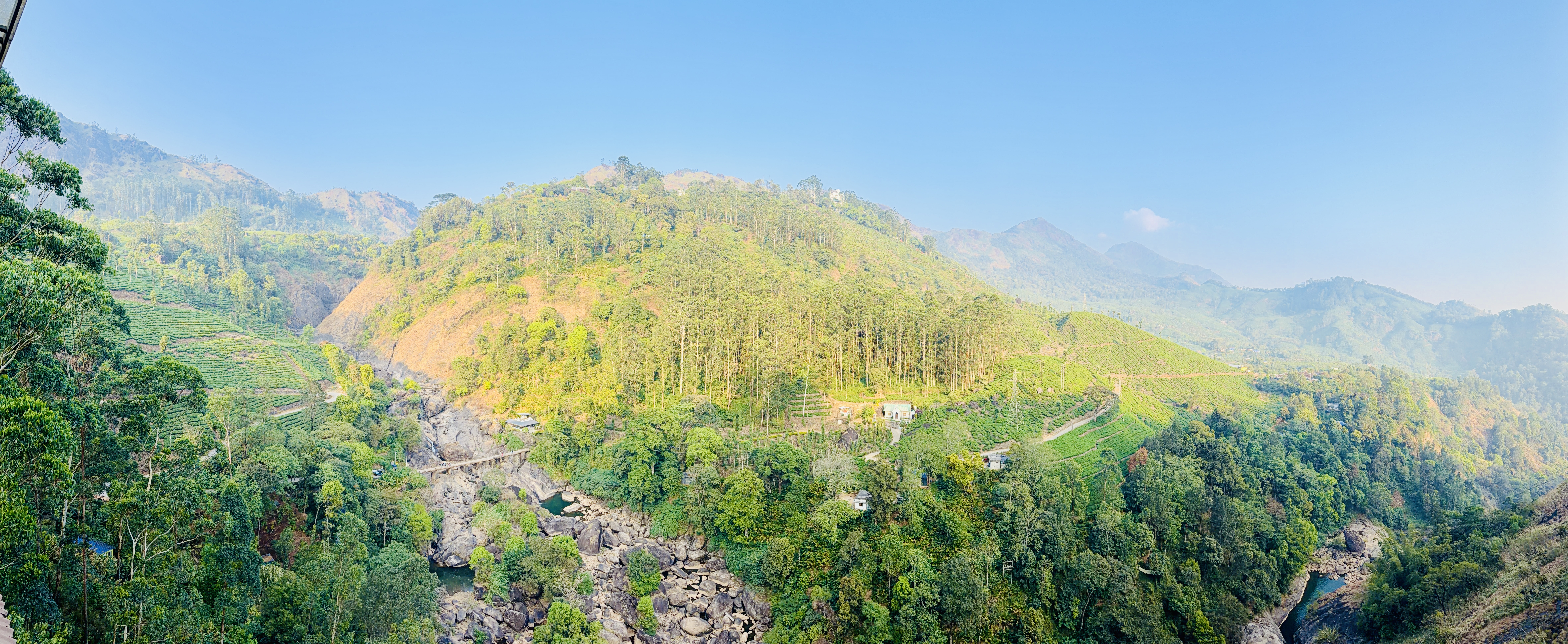 Munnar Tea Plantations