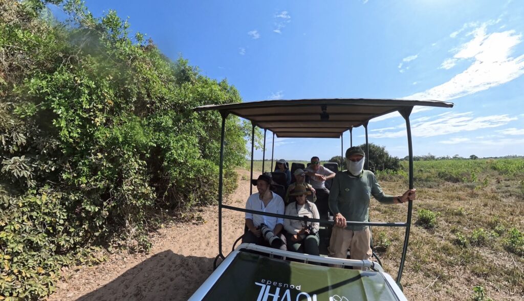 Piuval Lodge Jeep Safari