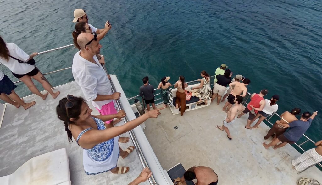 Spotting dolphins from a catamaran fernando de Noronha